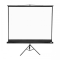 Apollo 96"x96" Tripod Projection Screen