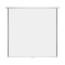 Super View 70 x 70 Inch Electric Projector Screen