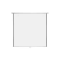 Super View 96 Inch x 96 Inch Electric Wall Projector Screen