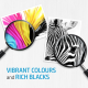 HP 67 Black Original Ink Cartridge