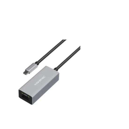 Yuanxin X-3562T Type-C Male to Lan Female Converter
